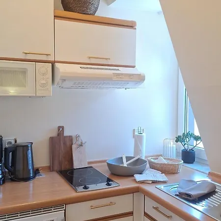 1 Raum Grosser Balkon 公寓 *